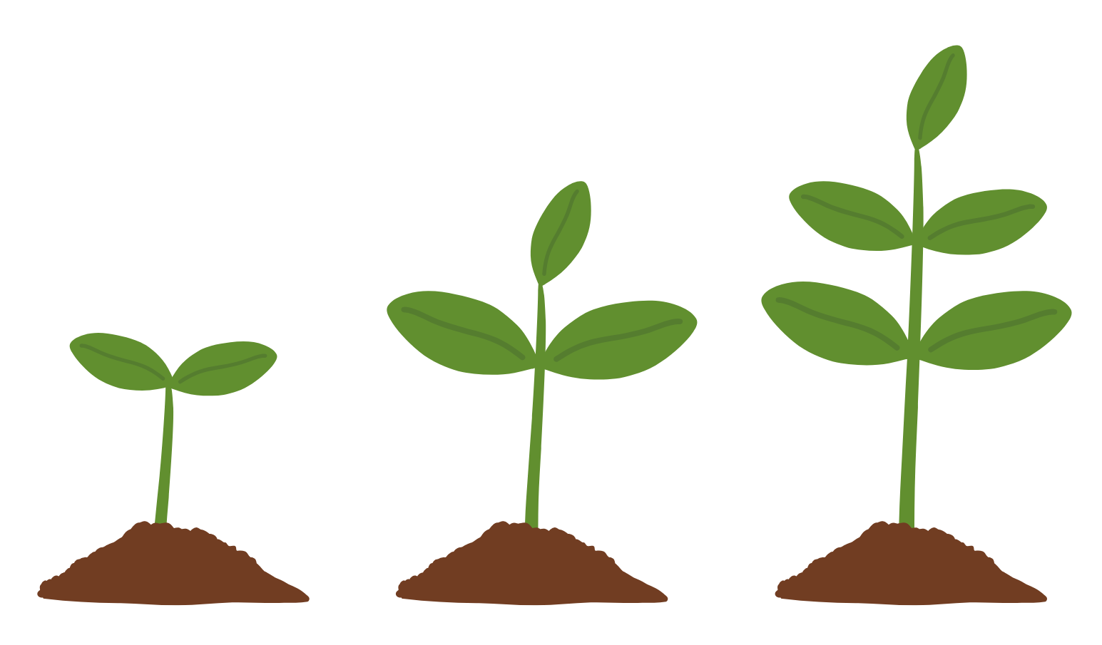Plantes croissantes seules